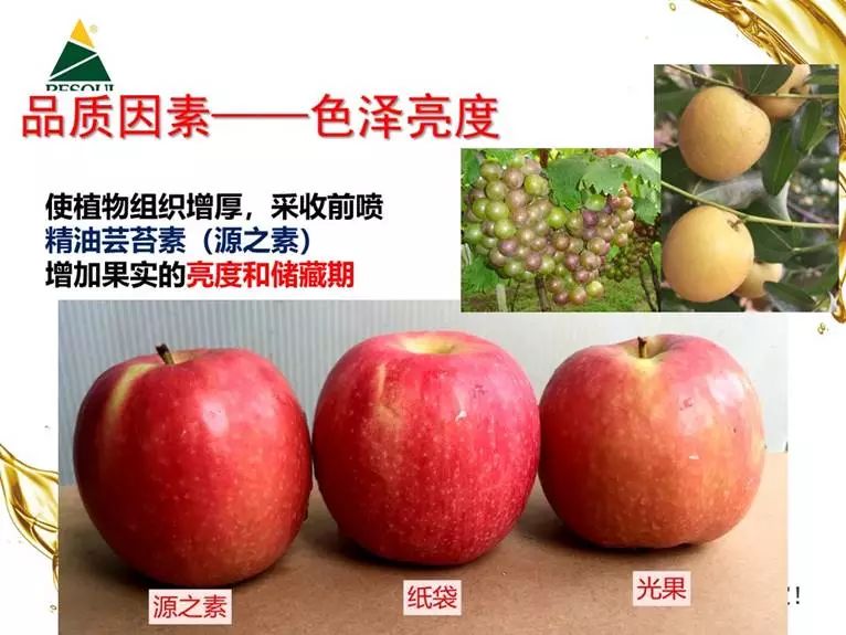 天然的芸苔素可以经常用吗,正确认识芸苔素