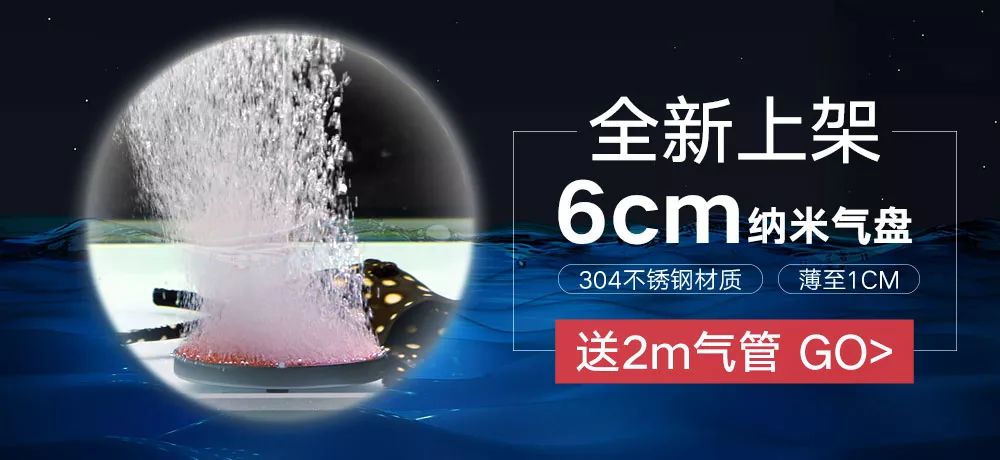 罗汉是不是不会死,罗汉真的很可怕吗