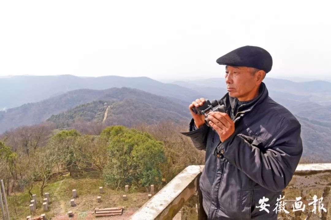 安徽道德模范人物事迹,安徽道德模范