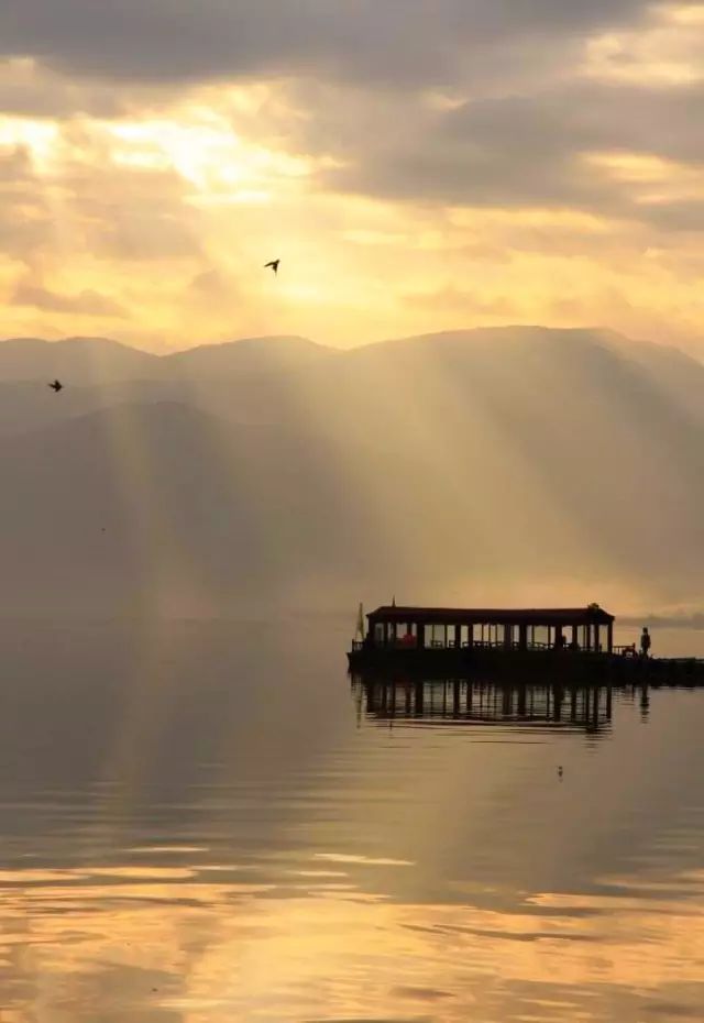 四川有座紫色小城，5月比美澳洲，比大理更多情