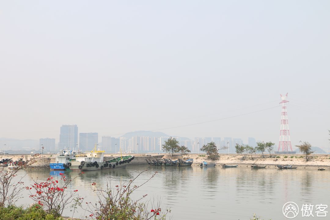 厦门美食探店海沧,厦门海沧特色美食探店