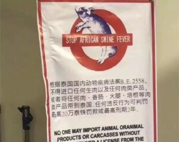 过海关被警察抓到,过海关被处罚视频