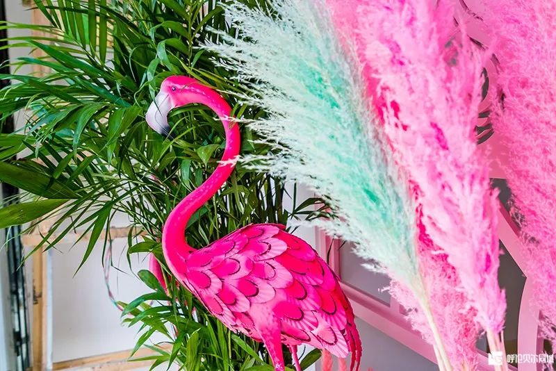 美发染发店推荐附近,美发店免费染发