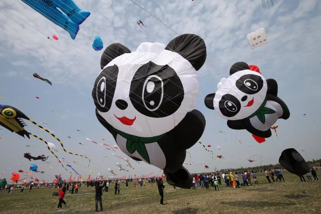 潍坊近期大事件,潍坊新闻头条今日大事