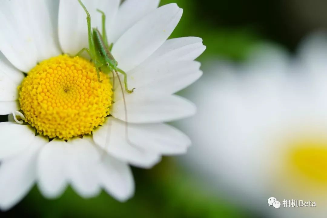 鍥句附11-16f2.8闀滃ご娴嬭瘎,鍥句附寰窛闀滃ご