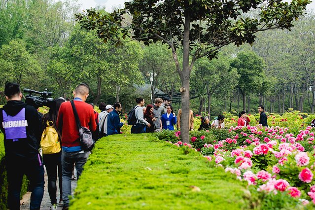 璞鍙ら兘涔嬬編,璞娌冲崡鍙戠幇涓嶄竴鏍风殑涓師涔嬬編