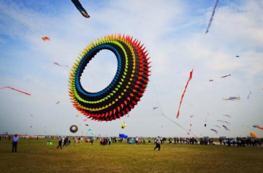 今年风筝放了吗,今年风筝会的主题