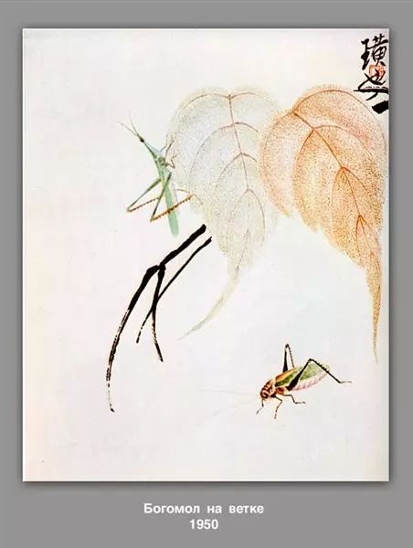 请克服对社交的塑胶过敏