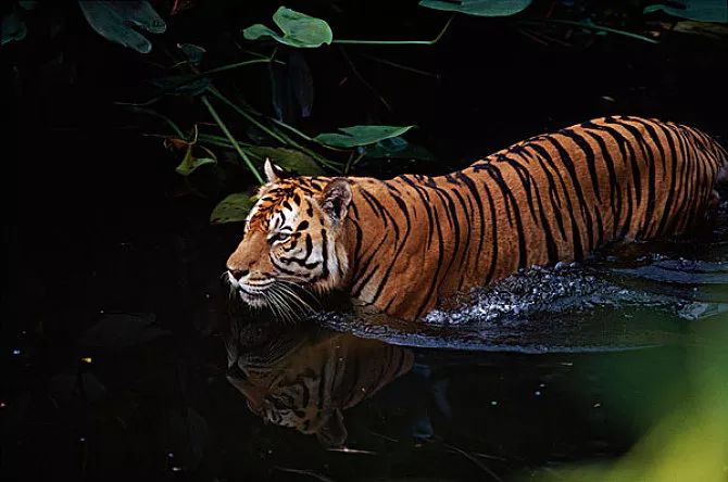 亚马逊在中国：始于卓越，终于失败