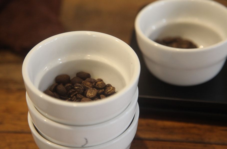 帕卡玛拉咖啡豆怎么样,帕卡玛拉和萨尔瓦