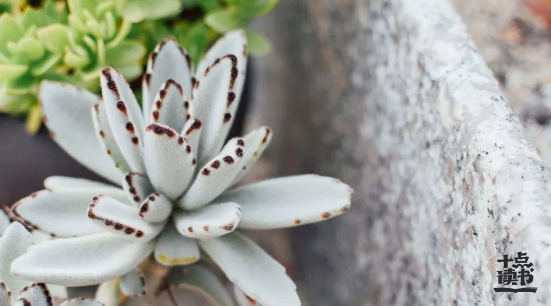 人到四十做到三不比三不言三不争,人到四十三不比三不言三不争图片