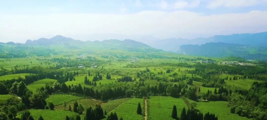 文学贵州||天楼山的梦想（散文）