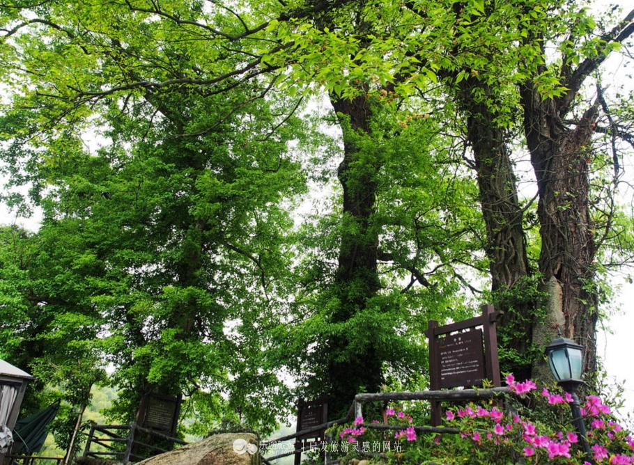 山沟沟里不存在的风景美如画,充满田园风光的美丽小村庄