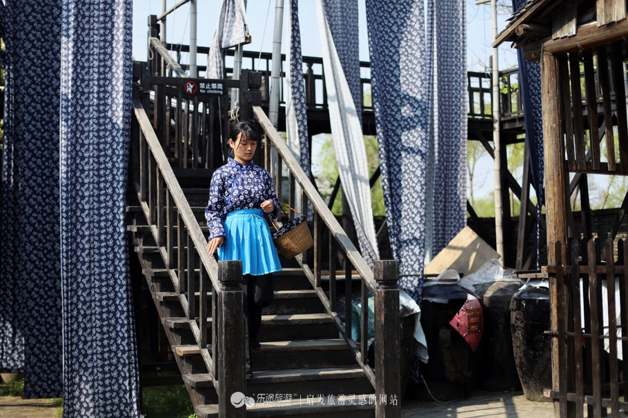 原味江南|在春日繁花烂漫的沙家浜,等风也等你