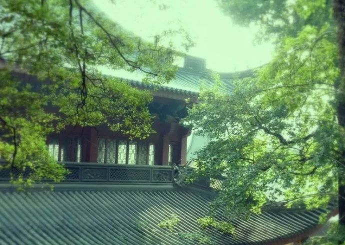 人心不足蛇吞象的故事完整版,人心不足蛇吞象王莽的动画故事