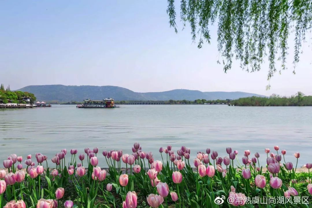 苏州4a级景区门票价格,苏州4a景区门票价格