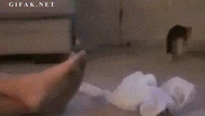 脚气脚臭脱皮克星,分享一个根治脚气脚臭方法