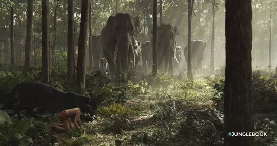 泰国驱蚊子膏,泰国蚊子驱蚊神器