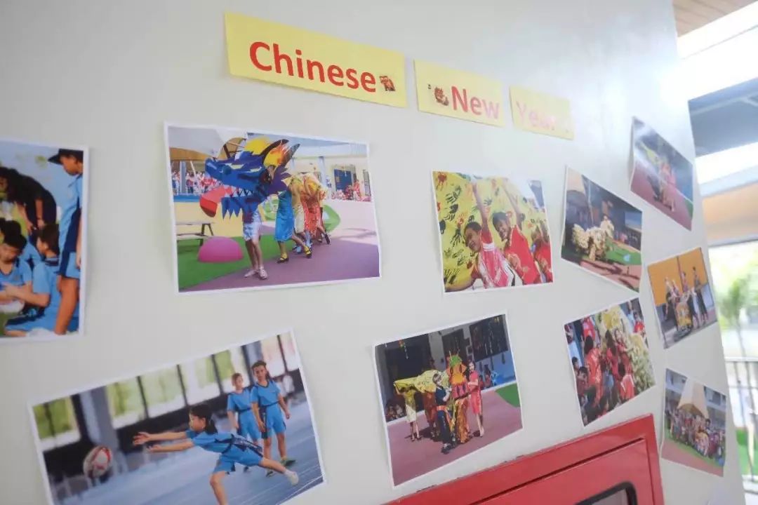 孩子小升初择校的文案,孩子优秀小升初择校的文案