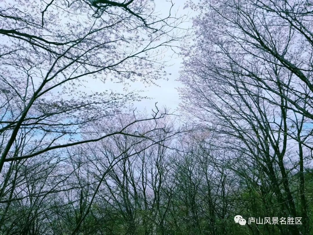 江西省中国十大名山,江西省十大名山最新排名