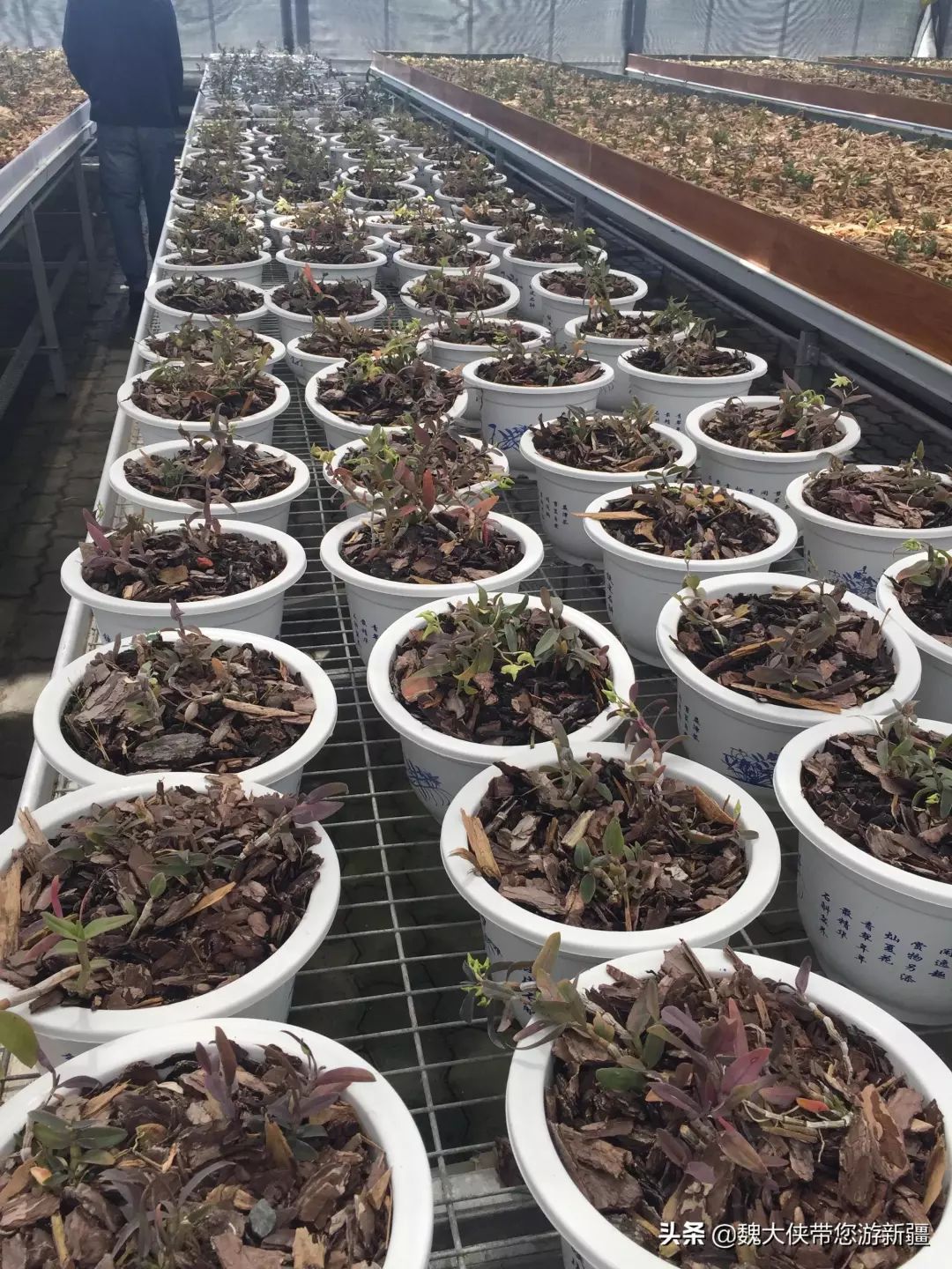 游达坂城视频大全,达坂城古城游览