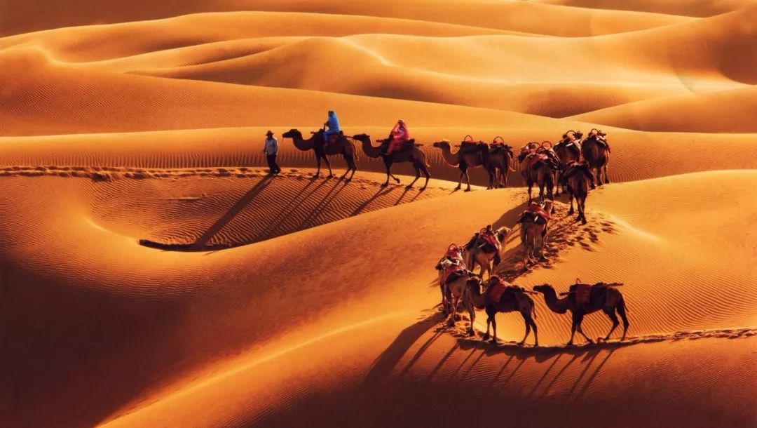 塞上江南的独特风韵,塞上江南大漠风情