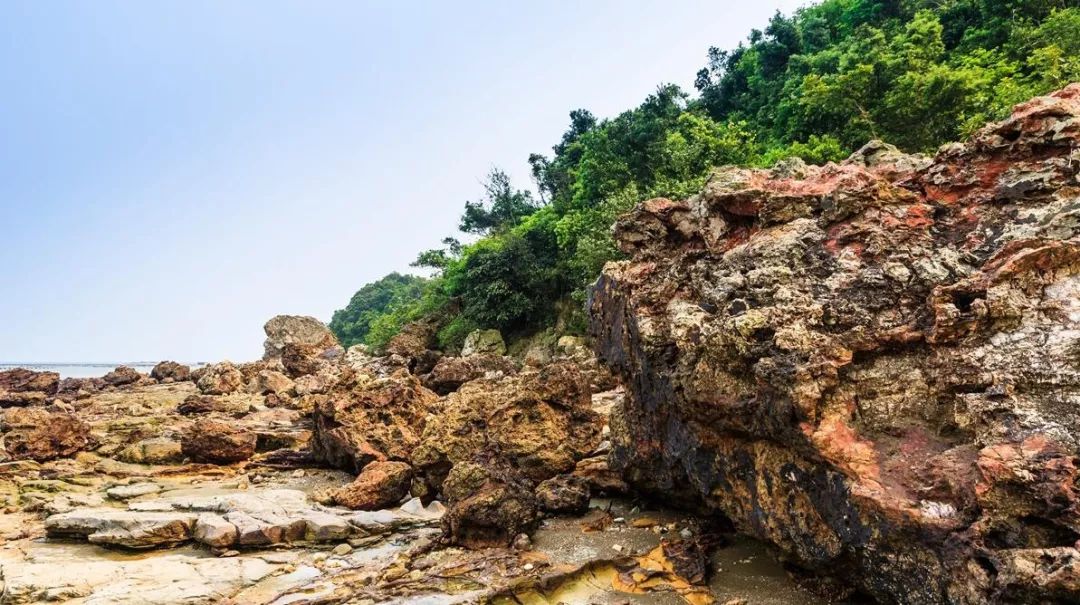 閽撻笨楸艰棰戦槻鍩庢腐,閽撻笨楸奸槻鍩庢腐