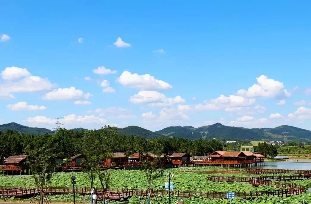 姹傚鐢熸棩娲惧甯冪疆,姹傚鍛婄櫧鐢熸棩娲惧甯冪疆