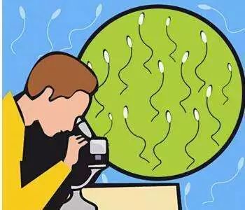 备孕二胎父亲该做什么,备孕时准爸爸注意事项有哪些