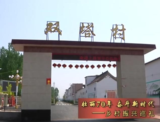 安阳县崔家桥镇新农村,安阳崔家桥镇双塔村