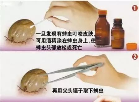 2岁的小孩眼皮突然有红点,小孩子眼皮上忽然凸起小泡泡