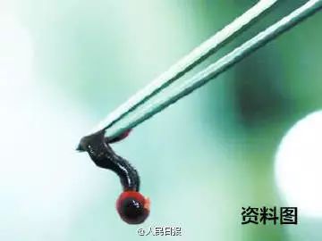 2岁男孩眼皮上突然冒出一个小黑点！医生：这东西会要命！眼下高发，别大意！