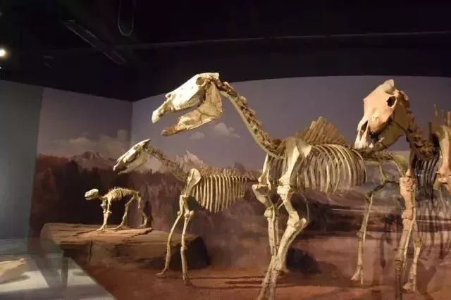 汉口里五一节有什么活动,汉口里五一活动