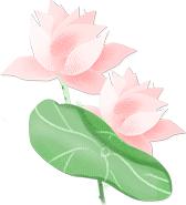 南宁有房产怎么在网上提取公积金,南宁市住房公积金提取方法最新