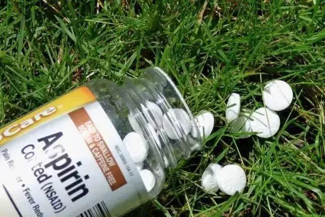 不用喂药！不用追！轻轻喷在它们的必经之路，就能瞬间“制服”！