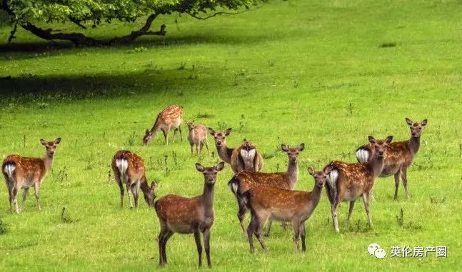 权游中的城堡,权游各个城堡