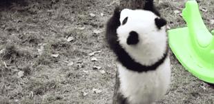 你才可爱你全家都可爱出处,你才可爱你全家都可爱怎么回