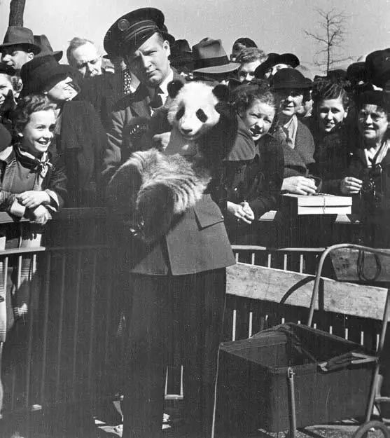 你才可爱你全家都可爱出处,你才可爱你全家都可爱怎么回