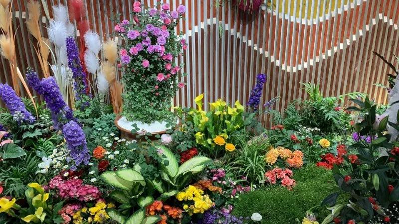 总书记来到世园会黑龙江馆，“花仙子”导游推介龙江园艺特色！