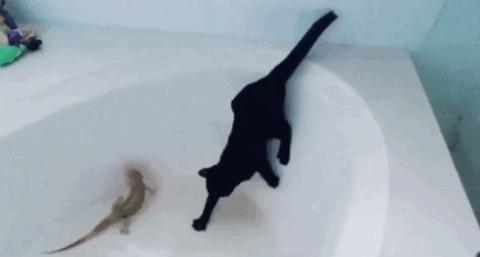 丁丁里塞进了70颗*珠钢**!家长们都该了解一下“儿童*慰自**”……