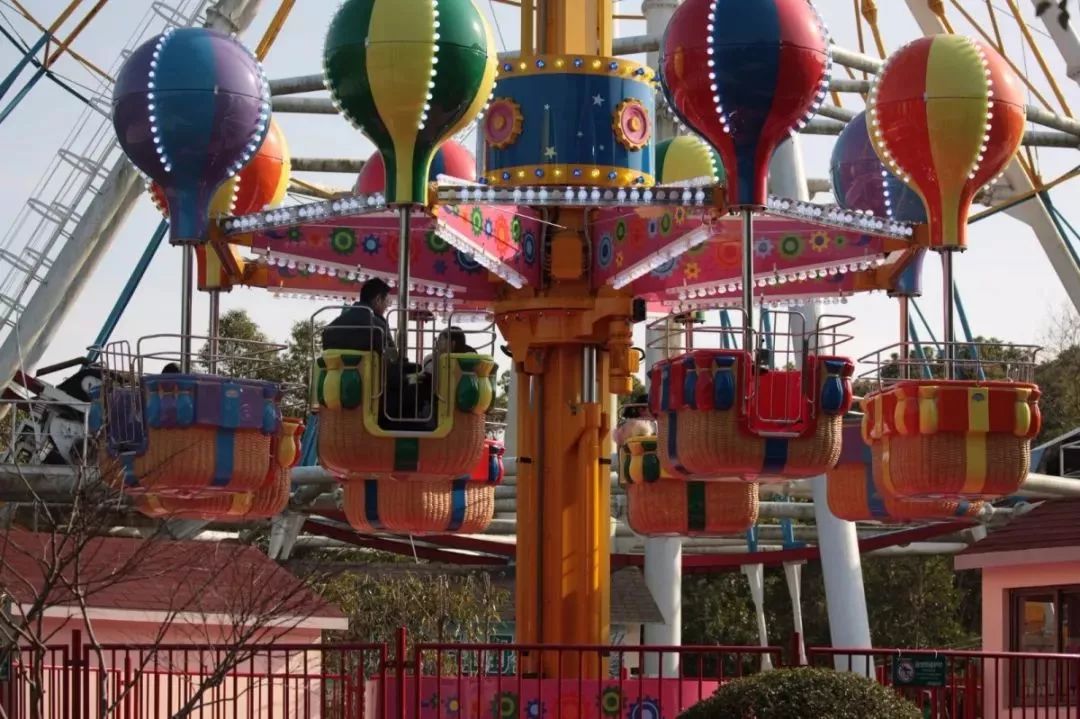 去处｜你真的知道怎么玩转上海野生动物园吗？最全指南在这里！