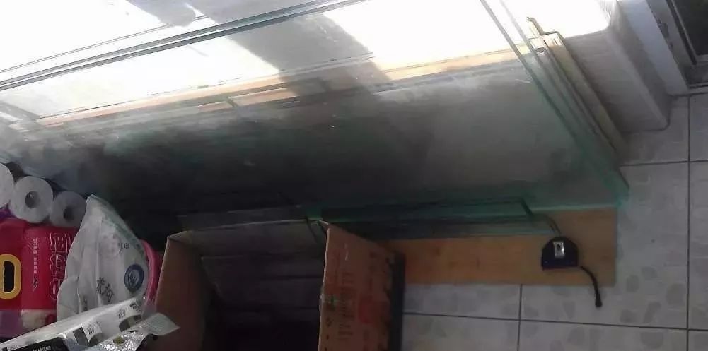 3000块的DIY罗缸，值么？