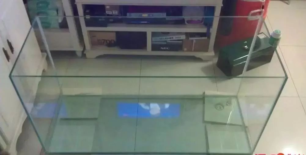 3000块的DIY罗缸，值么？