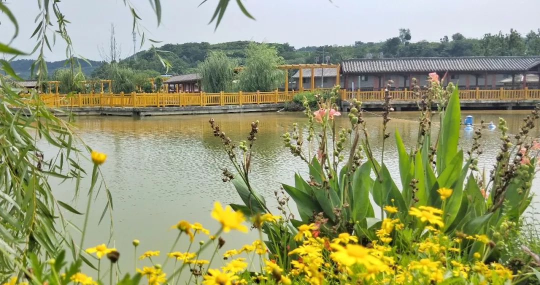 不必远行自有风景,不必远行在家度假