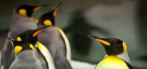 大连五一小长假游玩地推荐,五一旅游热门地方大连