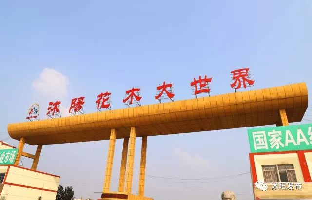 江苏沭阳春日旅游攻略图,沭阳旅游攻略自由行