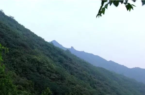 石家庄五一打卡景点推荐,石家庄周边必打卡旅游景点