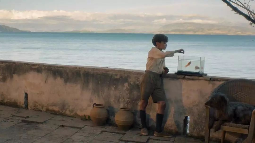 9.9，不敢相信它真的完结了...