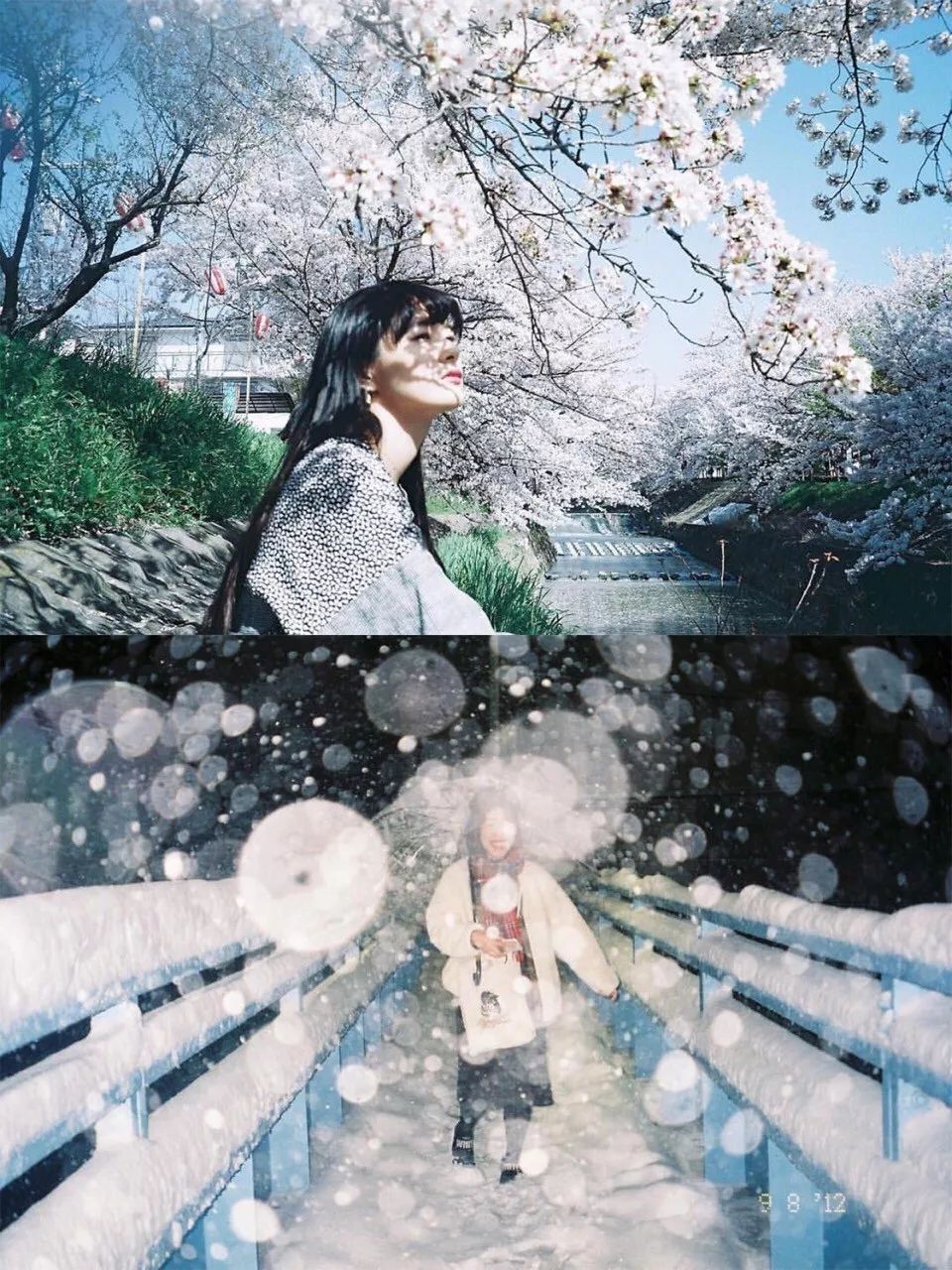 入坑胶片你真的需要一台胶片机吗,为什么不推荐新手买胶片机