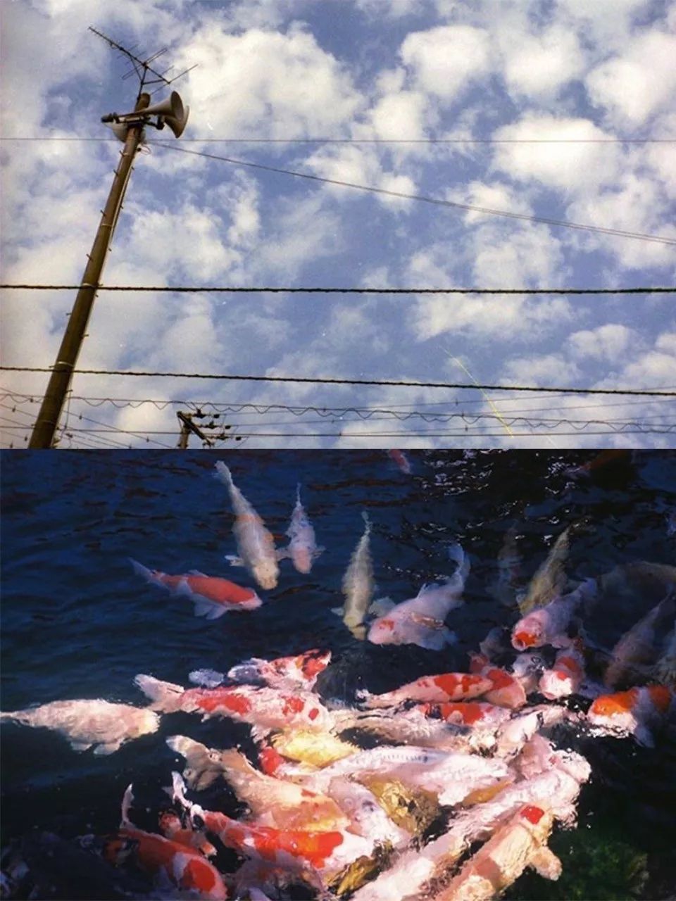 入坑胶片你真的需要一台胶片机吗,为什么不推荐新手买胶片机